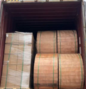 Bướm cáp quang GJXH 2 lõi cho truyền thông viễn thông trong nhà