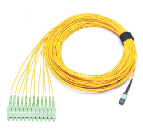 Đầu nối cáp quang UPC MPO OFNR SM MPO đến LC 12F FANOUT SC Đầu nối